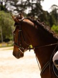 DSC01577 DSC01577