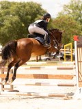 DSC01580 DSC01580