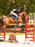 DSC01583 DSC01583