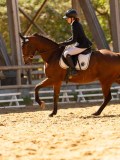 DSC02884 DSC02884