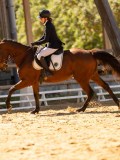 DSC02885 DSC02885