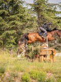 IMG_0107