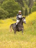 DSC02439 DSC02439