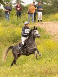 DSC02440 DSC02440
