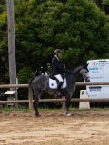 DSC02910 DSC02910