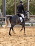 DSC02918 DSC02918