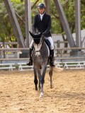 DSC02919 DSC02919