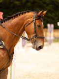 DSC04546 DSC04546