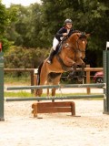 DSC04547 DSC04547