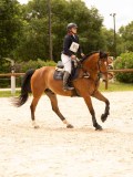 DSC04548 DSC04548