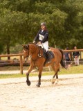 DSC04550 DSC04550