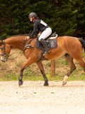 DSC04569 DSC04569