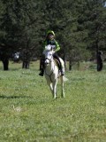 IMG_1906
