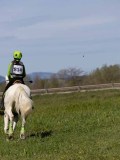 IMG_1909