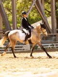 DSC02953 DSC02953