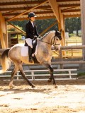 DSC02956 DSC02956