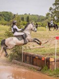 IMG_0201 IMG_0201
