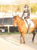 SGE03902