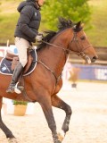 DSC03084