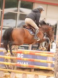 DSC03100