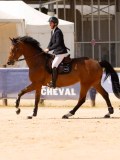 DSC04785 DSC04785