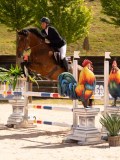 DSC04788 DSC04788