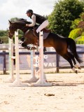 DSC04809 DSC04809