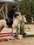 DSC01906