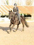 DSC04403