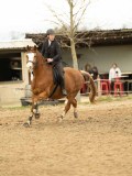 DSC05342 DSC05342