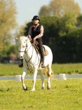 DSC01996