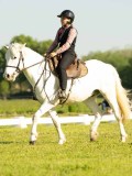 DSC02009
