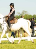 DSC02010
