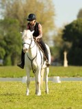 DSC02028