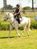 DSC03308