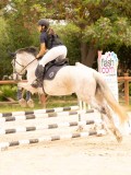 DSC08766 DSC08766