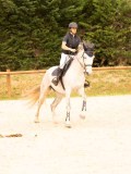 DSC08767 DSC08767