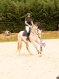 DSC08768 DSC08768