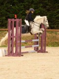 DSC09485 DSC09485