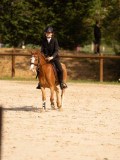 DSC04167 DSC04167