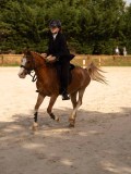 DSC04168 DSC04168