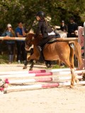 DSC04173 DSC04173