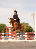 DSC04174 DSC04174