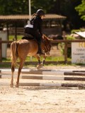 DSC04176 DSC04176