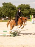 DSC04177 DSC04177