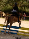 DSC04179 DSC04179