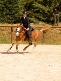 DSC04180 DSC04180