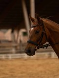 DSC00671 DSC00671