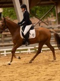 DSC00707