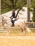 DSC07355 DSC07355